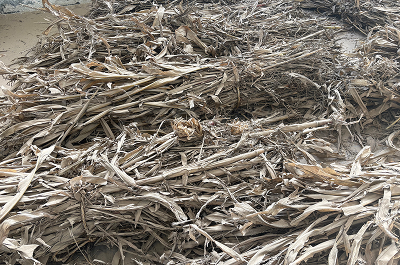 生物质秸秆原料