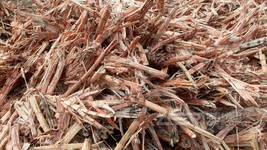 干燥的甘蔗叶原料