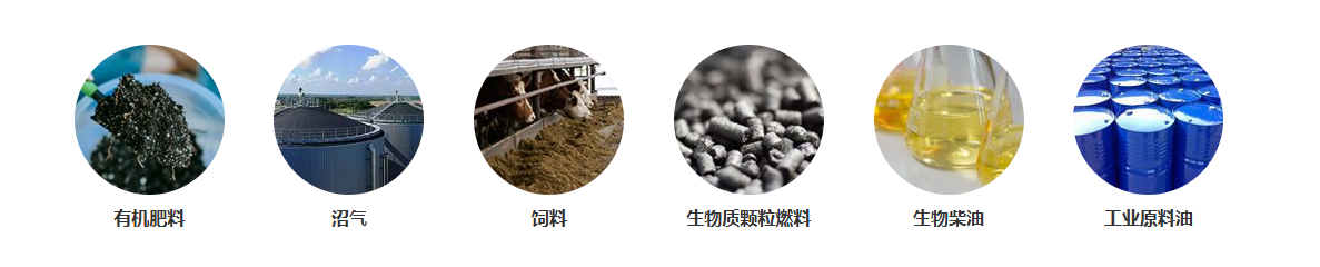 餐饮垃圾处理后用途